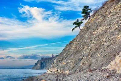 Картинка в великолепном качестве: дикий пляж черного моря