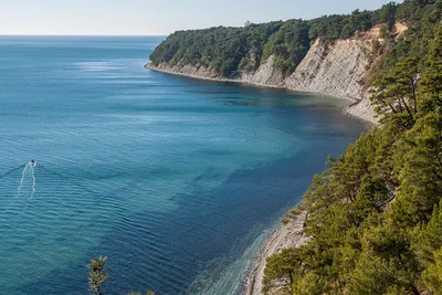 Красочные обои на телефон с изображением пляжа Черного моря