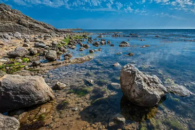 4K изображение дикого пляжа Черного моря во всей красе