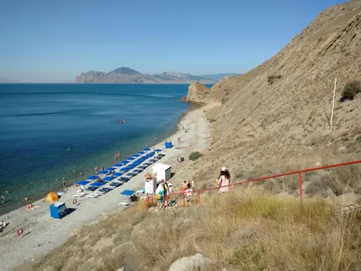 Уникальные изображения Дикого пляжа людей в 4K разрешении