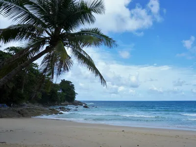 Скачать фотографии пляжа отдыхающих в WebP формате