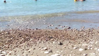 Впечатляющие кадры с Дикого пляжа Туапсе