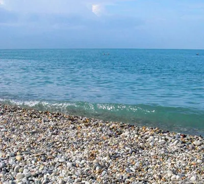 Фото дикого пляжа в Сочи - фотографии с красивыми ракушками и морскими волнами