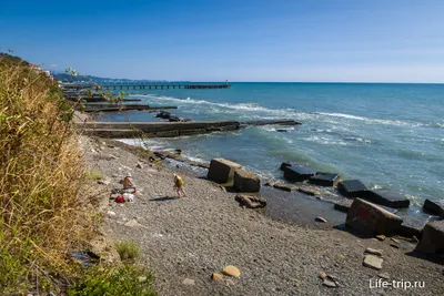 Фото дикого пляжа в Сочи - 4K изображения для скачивания