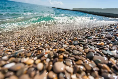 Погрузитесь в атмосферу дикого пляжа в Сочи через фотографии