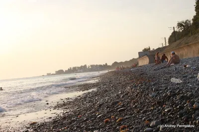 Фото дикого пляжа в Сочи в формате webp