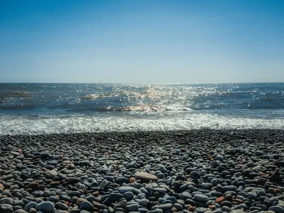 Уникальные фото дикого пляжа в Сочи