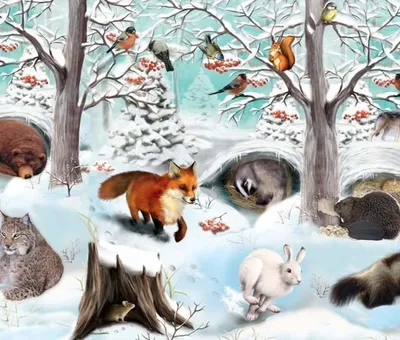 Удивительные снимки диких животных зимой