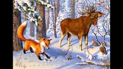 Зимние зарисовки природы: фотографии дикой фауны