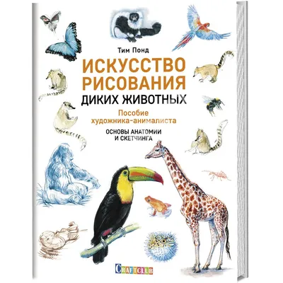 Очаровательные снимки пернатых созданий, отражающих живость дикой природы