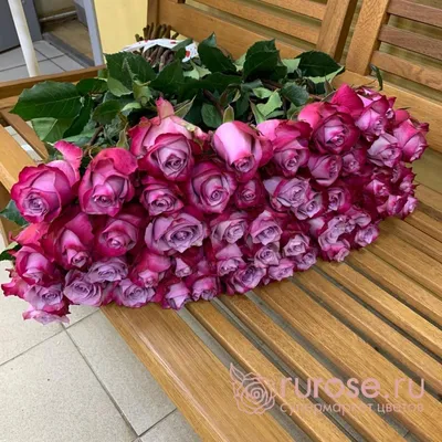 Фотография роскошной розы с возможностью выбора размера