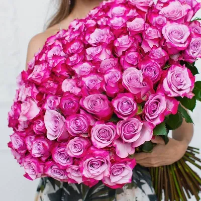 Фото красивой розы в формате webp для быстрой загрузки