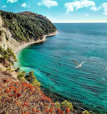 Встреча двух миров: красивые фото границы Дивноморского моря