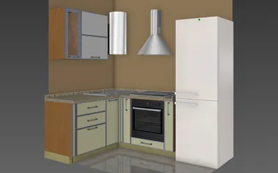Фотографии кухни с газовой колонкой и холодильником: Идеи для улучшения пространства