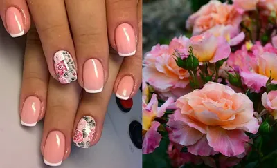 Красочные фото дизайна ногтей розы: выбирайте размер