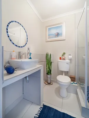 Фото ванной комнаты в бирюзовом цвете с акцентной стеной