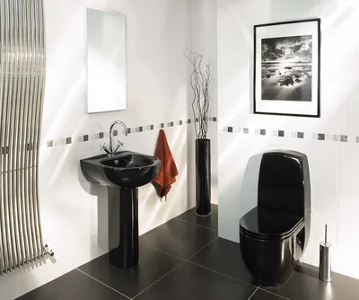 Ванная комната в черном цвете: элегантный и современный дизайн на фото