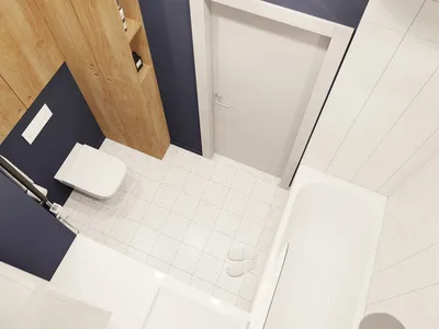 Фотографии ванных комнат с раздельным дизайном ванны и туалета