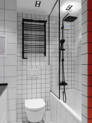 Фотографии стильных ванных комнат с разделением ванны и туалета для вдохновения