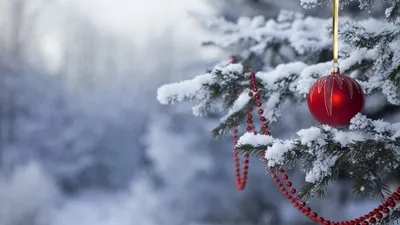 Сияющий мороз: Фото с новогодней атмосферой и различными форматами