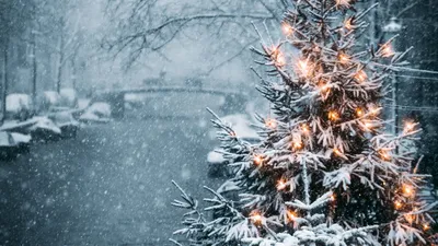 Зимние узоры: Изображения с новогодними мотивами для скачивания