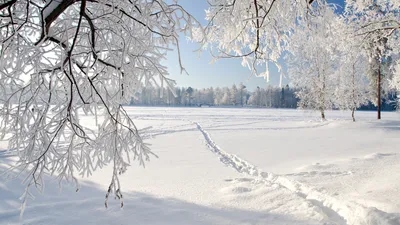 Фотографии зимних зарисовок для вашего компьютера