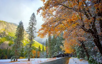 Фотографии зимней природы: выберите качество и формат