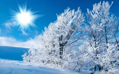 Изображения зимней природы для скачивания в JPG, PNG, WebP