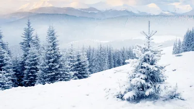 Фотографии зимних пейзажей с возможностью выбора формата