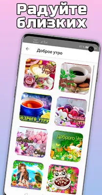 Утренний пейзаж: природа в ее первозданной красе