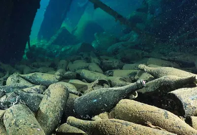 Загляните на дно моря: фотографии в великолепном качестве