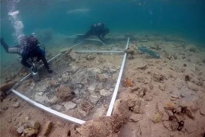 Фотографии подводной жизни: захватывающий взгляд на дно моря