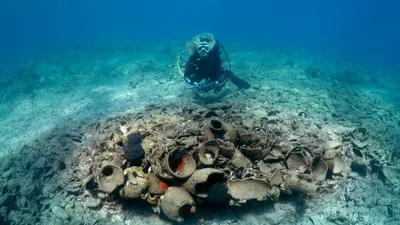 Фото в хорошем качестве: дно моря