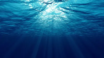 Подводные тайны: Фотографии океана в 4K разрешении