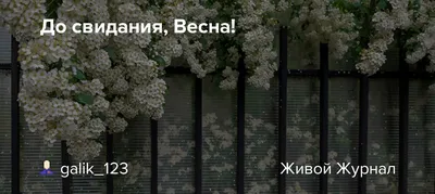 Весенние фото: скачать бесплатно в HD, Full HD, 4K