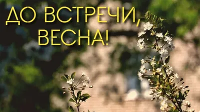 Картинки весны: новое изображение в формате JPG, PNG, WebP