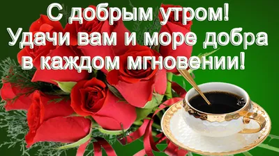 Вдохновляющие моменты на фото с добрыми картинками