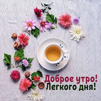 Утренние фото - выберите формат для скачивания: JPG, PNG, WebP