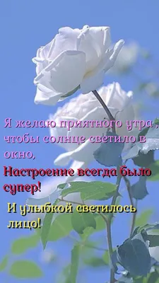 Добро пожаловать в новый день картинки. Полезная информация о (Добро пожаловать в новый день картинки)