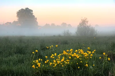 Фотографии для вдохновения: доброе хмурое утро