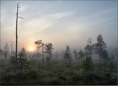 Фотки с утренней атмосферой