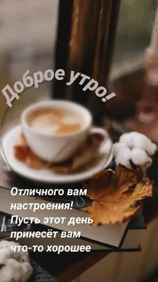 Утренний вдохновительный альбом: фотографии, чтобы вдохновиться на новые свершения