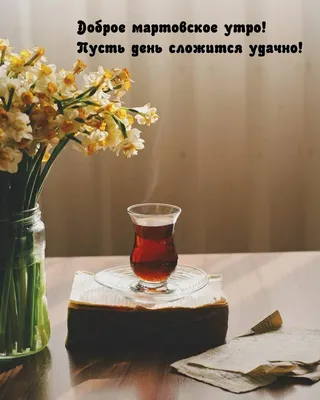 Утренние снимки с яркими цветами