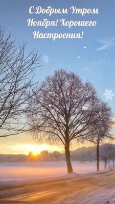4K арт-фото утреннего морозного пейзажа