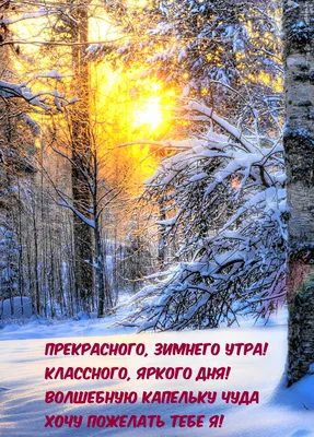 Фото утреннего морозного пейзажа в формате jpg