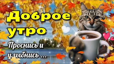 Фотографии утреннего света: ноябрьское утро в объективе