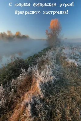 Фото утреннего ноября в HD качестве