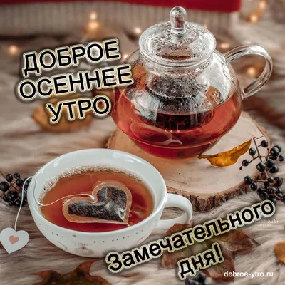 Утренние фотографии, наполненные теплом и уютом осени