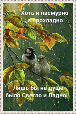 Картинки утреннего пейзажа: скачать бесплатно в хорошем качестве