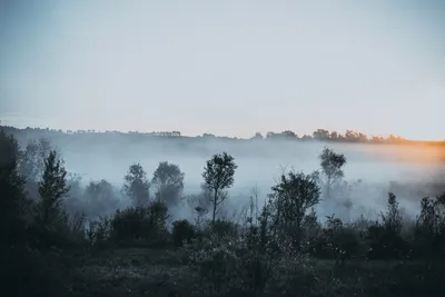 Фото с утренним туманом в 4K качестве